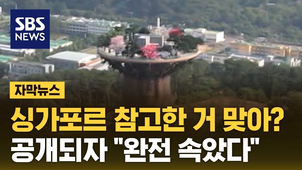 싱가포르 참고한 거 맞아?…현대건설 작품에 "완전 속았다" (자막뉴스) / SBS