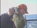 September 12 2008 Smallmouth