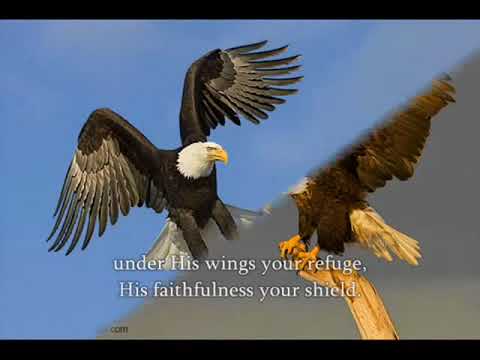 Download Eagles Wings By Frank Edwards
