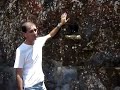 Museu de Arqueologia e Etnologia da USP
