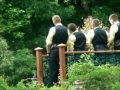 fun wedding dance down the aisle