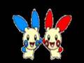 Plusle and Minun Two Step