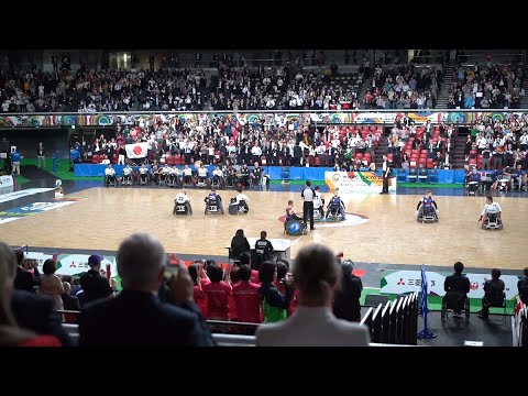 動画