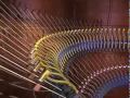 Music Animation