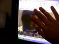 videos de notthing rly all the cool just being bored