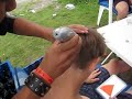 kop kaal kop kaal