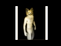 CARA DE PERRO, POR MARCOS Y ARTDILLA