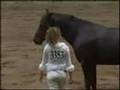 Stacy Westfall- Bridleless Reining with Wizards Baby Doll