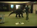 Minmi The Dinosaur