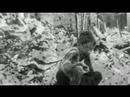 wwii-airsoft.html