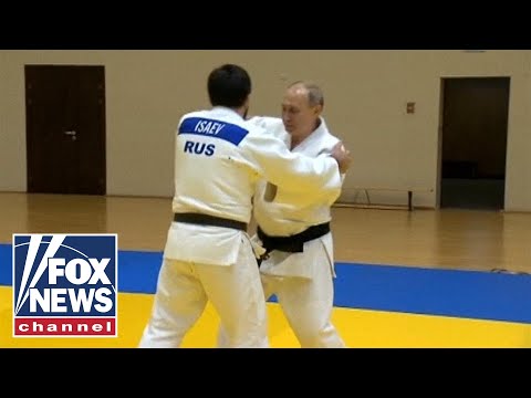 動画