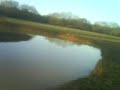 stilly paul and jack pond jumping
