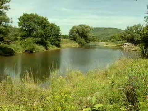 Saving Bats to Help Agriculture