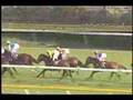 第67回優駿牝馬 - カワカミプリンセス -