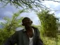 dayrwaa-Hamigii yurub iyo hurdadii afrika dayrwaa-Hamigii yurub iyo hurdadii afrika