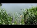 country: poland city: ba?t�w jurassic park