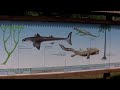 country: poland city: ba?t�w jurassic park