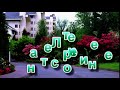 Летнее настроение