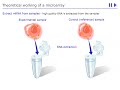 Microarray Gene Expression