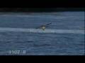 Osprey Music Video