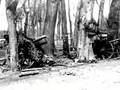Vimy Ridge Footage