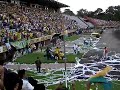 celebracion del 3 gol del huila