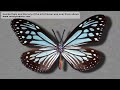 beside them and the lory of the od of Israel was over them .mov