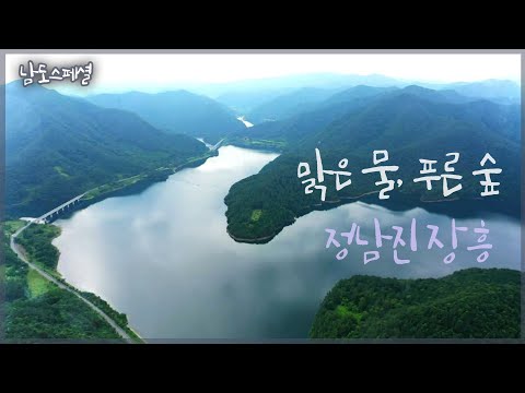 [남도 스페셜] 맑은 물, 푸른 숲 - 정남진 장흥