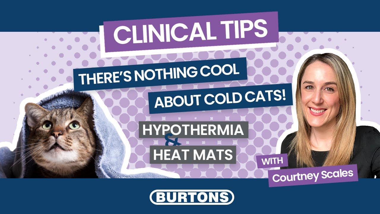 Clinical Tips - Hypothermia & Heat Mats