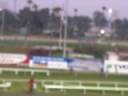 Horse racing..
