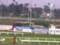 videos de Horse racing..
