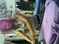 stikki posa il ferro che è meglio!!!!smcv