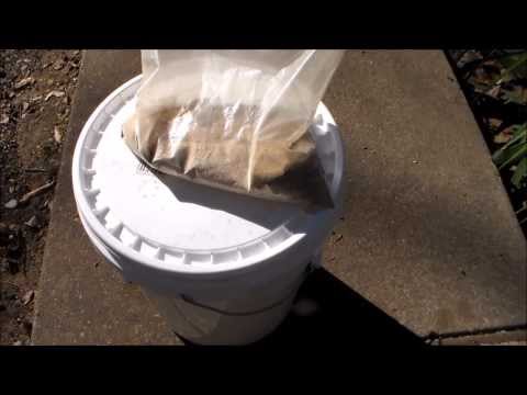 how to grow oyster mushrooms indoors