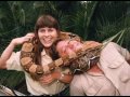 Tribute to Steve Irwin