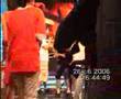 cctv5 show