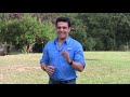 Click here to watch this video Programa 6- Juegos Industriales 2012