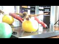 Ejercicio con pelota de Fit Ball para el fortalecimiento de