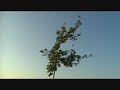 Soir�e H�li4...  F4U EPO Vs F4U Poly