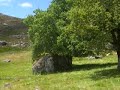 Prado do Conho - Ger�s