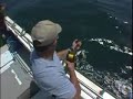 Jim Baugh Outdoors Tile Fishing on the Jill Carrie