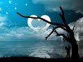 chayanne - una luna para dos