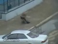 video de caidas, golpes, sustos, graciosos