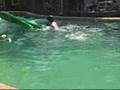 crocodile attack part2
