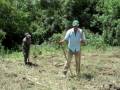 videos de Plantio de Árvores no Rio Formiga em Ortigueira, Paraná. Ação conjunta da Copel, Eletrosul e Governo do Município de Ortigueira para o programa de implantação da Usina Mauá.