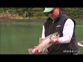 Alaska.org - Haines Alaska: Everything You Dreamed ...
