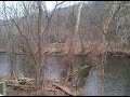 Bald Eagle by the Mohican River