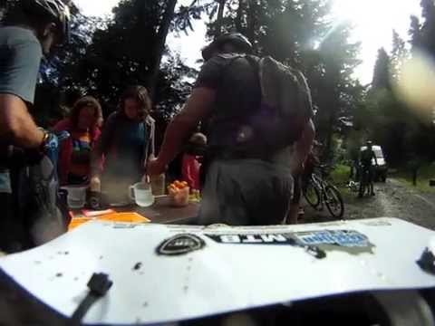 chain reaction cycles