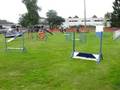 Lotje agility training 1