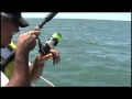 Pesca embarcados en Mar Chiquita - www.mdq-team.com.ar
