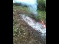 defrichagefeu.MOV
